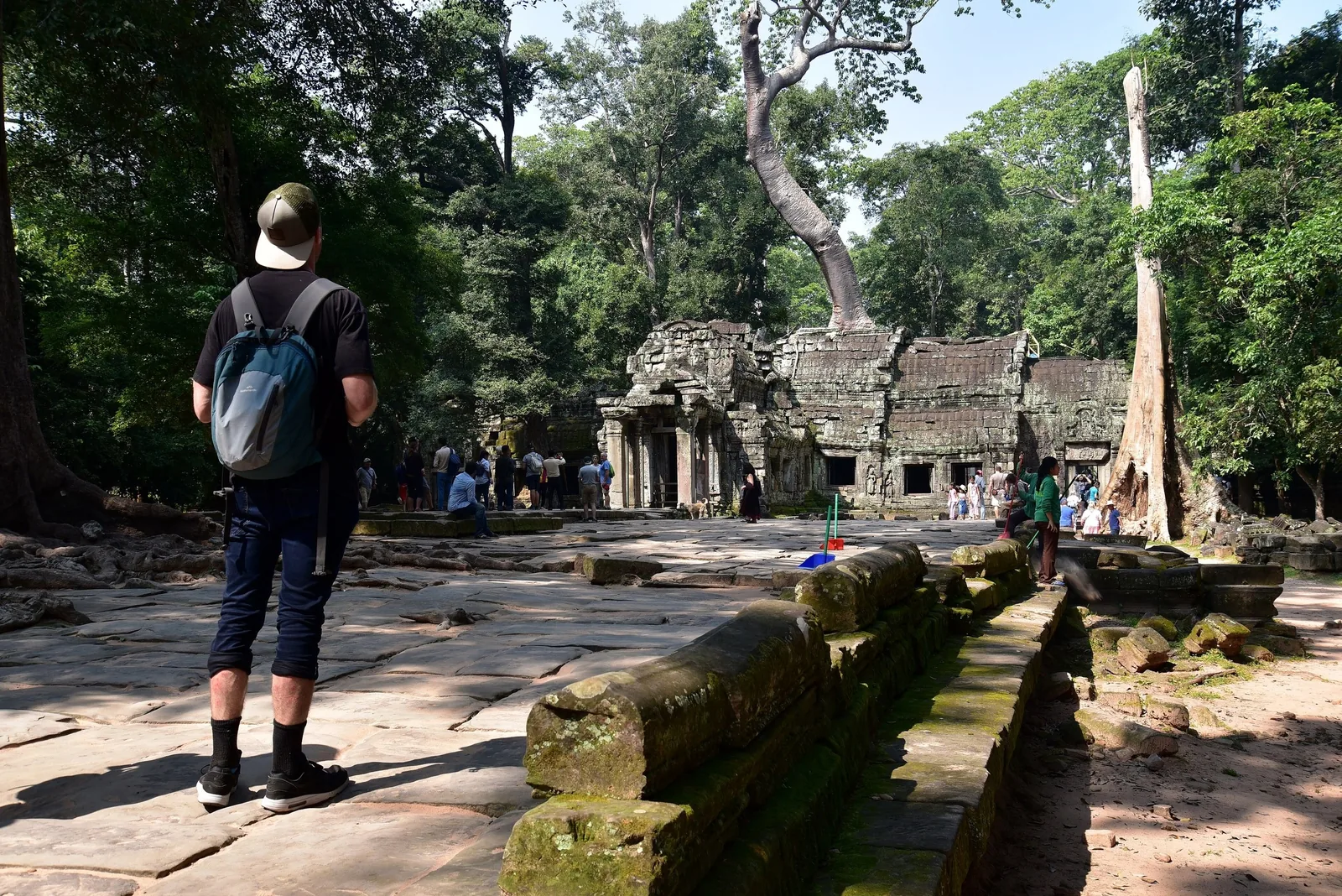 A tourist with a backpack walks toward the jungle-covered stone ruins of Ta Prohm in Siem Reap.
