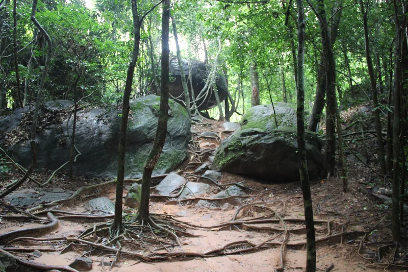 A dirt forest trail winds between large boulders and exposed tree roots near Kbal Spean, Siem Reap.