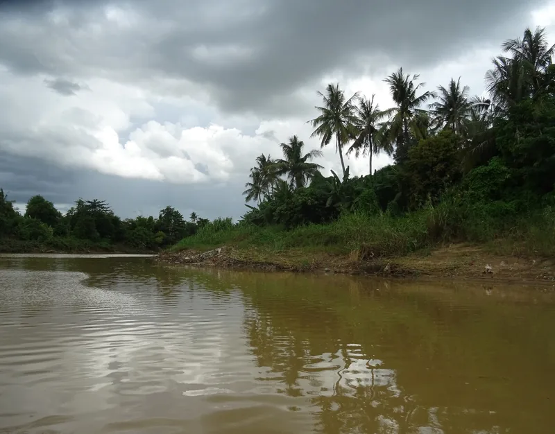 Muddy waters of the Sangker River flow past palm-lined banks under a cloudy sky in Battambang.