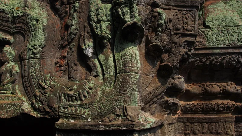 Moss-covered sandstone carvings of multi-headed naga serpents decorate an ancient temple wall at Ta Prohm, Siem Reap.