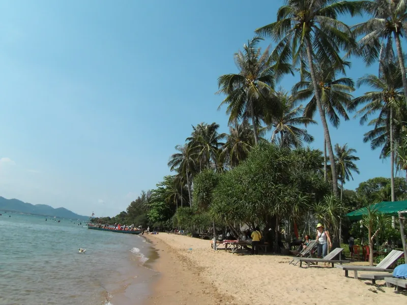 Coconut palms line a sandy beach with visitors relaxing near the shore at Rabbit Island, Kep, Cambodia.