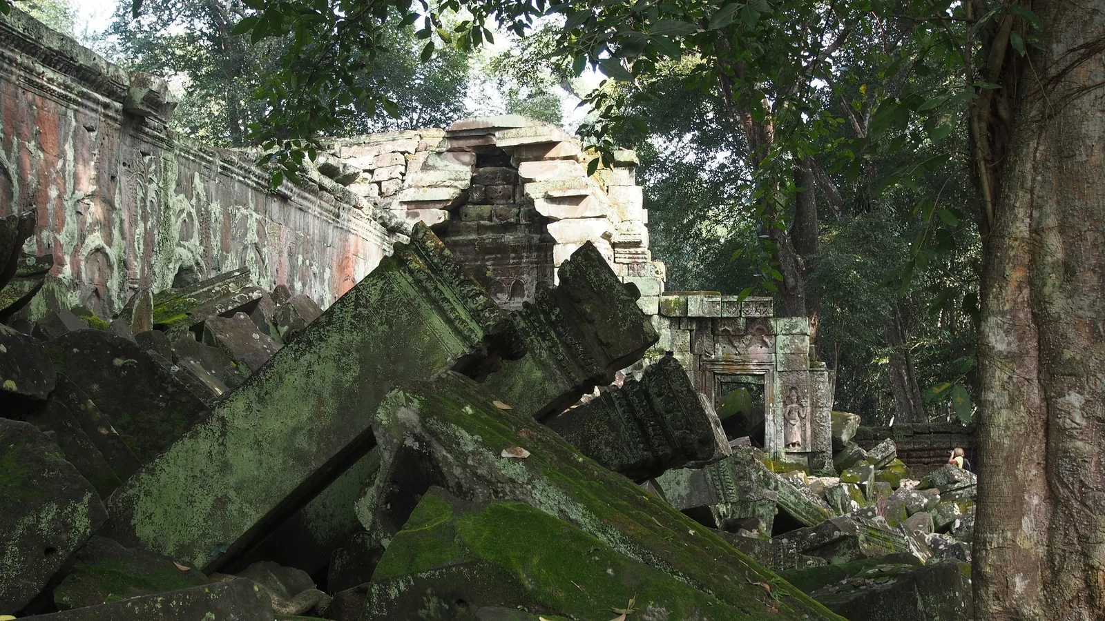 Moss-covered stone blocks and carved walls lie tumbled among trees at the Ta Prohm temple ruins in Siem Reap.